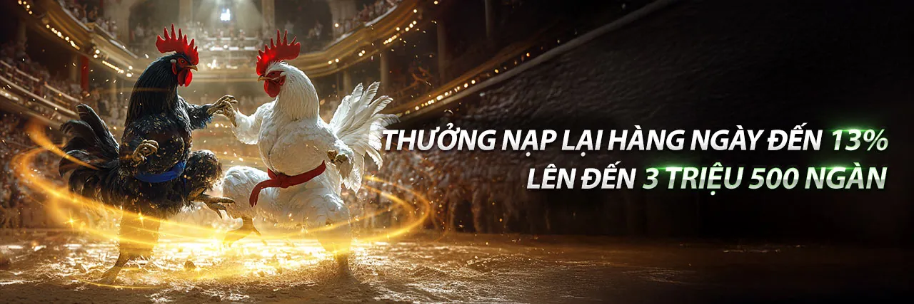 Tin tức về choang đăng nhập và các sự kiện mới nhất 2026